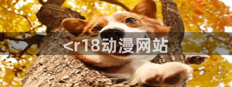 18动漫天堂：<r18动漫网站
