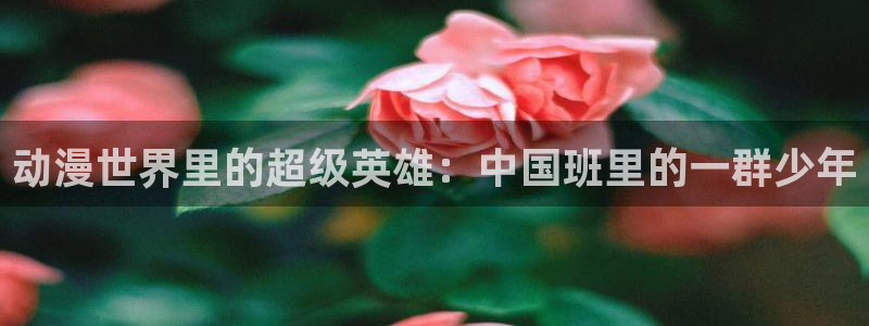 动漫天堂免费版：动漫世界里的超级英雄：中国班里的一群少年